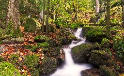 Gertelsbacher Waterfalls in autumn, Black Forest, Germany