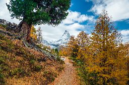 Matterhorn with hiking trail from Riffelberg, Zermatt, Switzerland