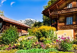 Chalets in Grindelwald, Switzerland