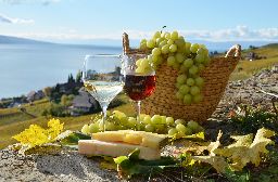 Wine and grapes on the terrace of vineyard in Lavaux region, Switzerland
