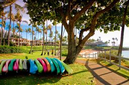 A quiet beach in Maui, Hawaii