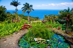 The Garden of Eden in Maui, Hawaii