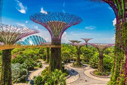 Walkway at The Supertree Grove at Gardens by the Bay in Singapore near Marina Bay Sands hotel