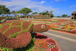 Flower park, Okinawa, Japan