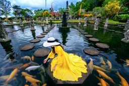 Tirta Gangga Water Palace in Bali, Indonesia.