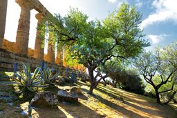 Temple of Juno, Valley of the Temples in Agrigento on Sicily, Italy