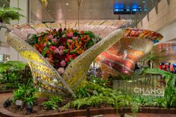 Enchanted Garden at Changi international airport, Singapore