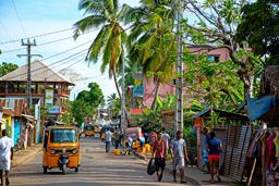 A Madagascar street