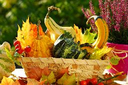 Autumn Colors Jigsaw Puzzles
