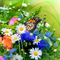Gardens Jigsaw Puzzles