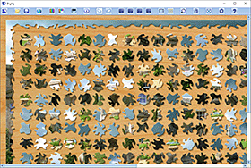 Spriggy figures<br> with the shaped frame