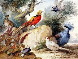 Aert Schouman Birds in landscape