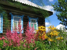 Flowers and a house in Russian country
