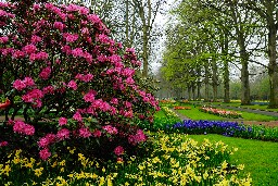 Beautiful garden in spring, Keukenhof, Netherlands
