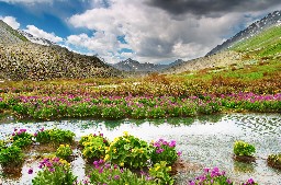 Mountain view, Altai, Russia