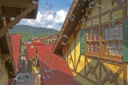 Old town roofs