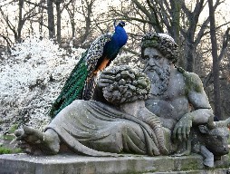 Peacock on a park statue, Warsaw, Poland