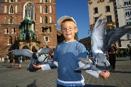 Boy is feeding birds, Krakow, Poland
