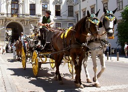 Chaise in Vienna