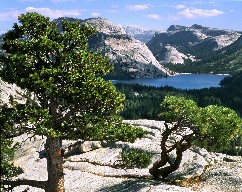Lake Tenaya, Yosemite National Park, California