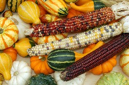 Harvest decoration