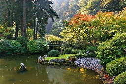 Japanese garden in autumn color
