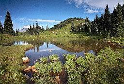 Alpine Lake, Mount Rainier, Pierce County, Washington
