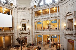 Interior view of rotunda of Natural History Museum in Washington, DC