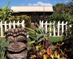 Tiki Room