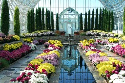 Marjorie McNeely Conservatory, in St. Paul, Minnesota