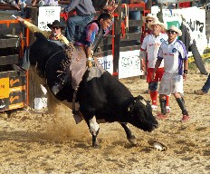 Rodeo